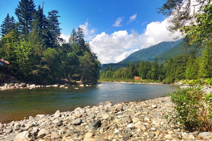 Cedarwood Grove, Washington State