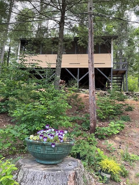 Cabin up in the Trees come explore nature!, Connecticut