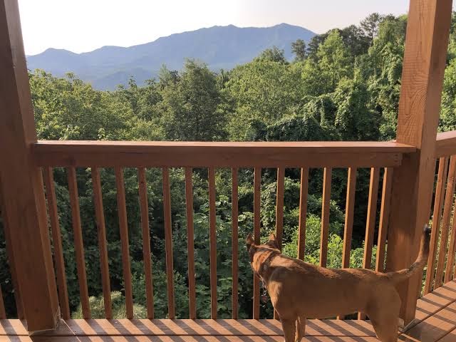 WOW! Mountain Views, 2 Kings+, Grill, Pool Table, Fireplace & Covered Decks, Gatlinburg con piscina