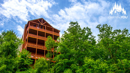 Cabins for You, Tennessee con Nieve