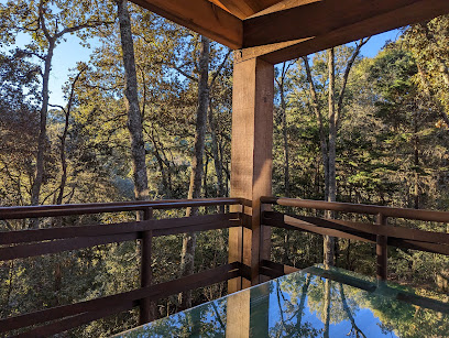 Bosques de San Joaquín