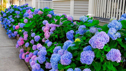 Chadwick Cottage Vacation Rental Home, New Jersey