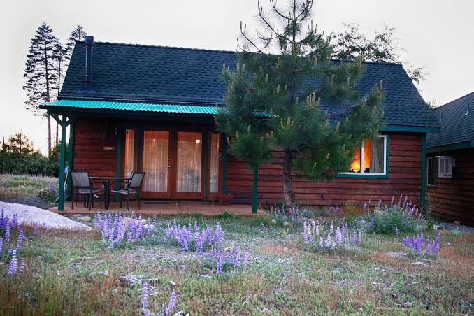 Yosemite Hilltop Cabins, Sage Cabin,15 min to the Valley floor, Wifi, Sequoia
