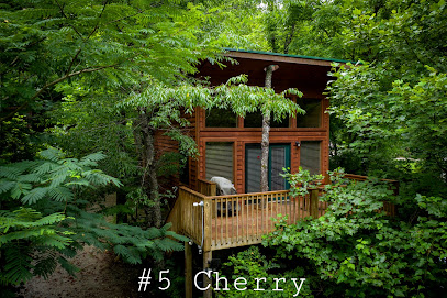 River's Edge Treehouse Resort, Carolina del Norte