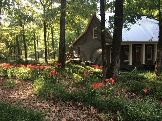 Natchez Trace Cabin Retreat on 5 acres, Mississippi