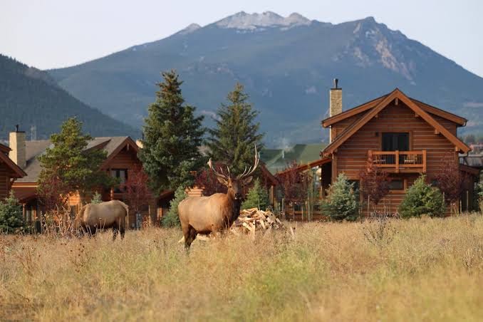 Stunning Escape - Jacuzzi, Fireplace & Mountain Views, Estes Park