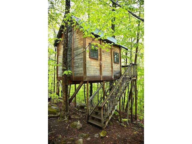 Maine Woods Treehouse-The Birdie, New Hampshire