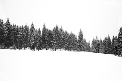 Whispering Pine Cabins, Ruidoso