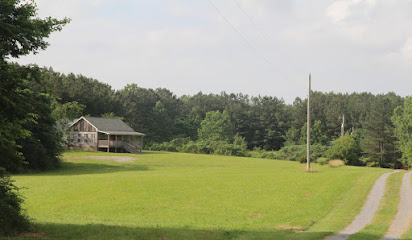 Stay Down On The Farm, Nashville