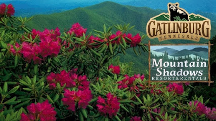 Mountain Shadows Resort & Rentals