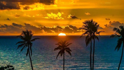 PALMERAS DEL MAR ISABELA