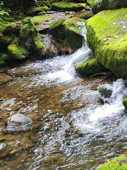 Garden of Eden Cabins