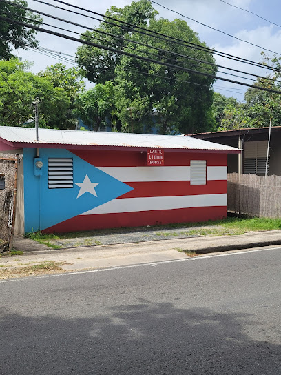 Lani's Little House