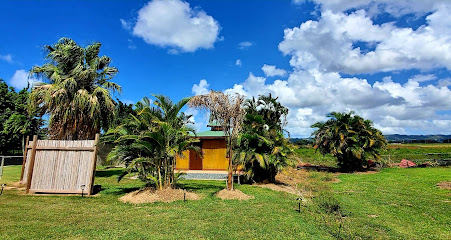 Ariamis Rose Cabin