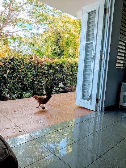 Villa Marta 68 apt.#2