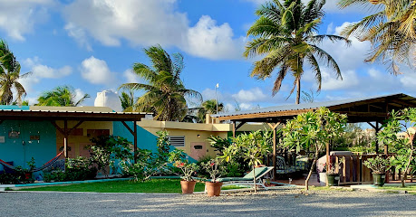 Pedro's Palms