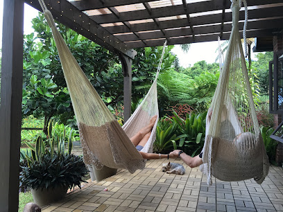 Rainforest Inn