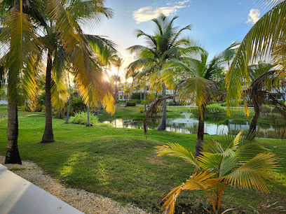 Bungalow 10