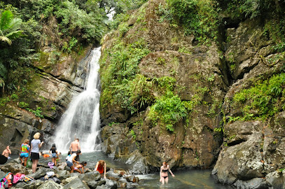Bosque Nacional El Yunque