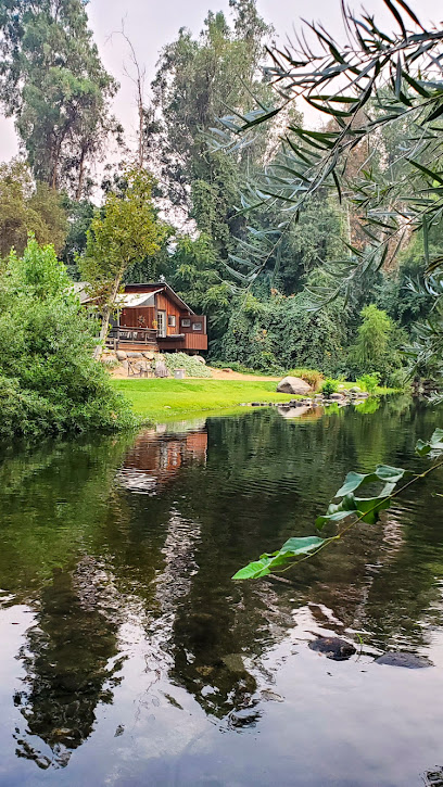 Sequoia River Cabin