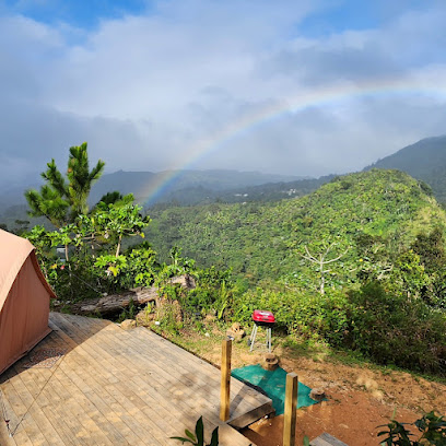 Casa de verdor y paz