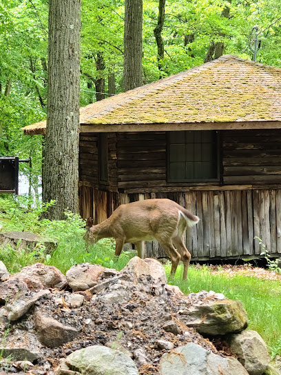 Sebago Cabin Camp